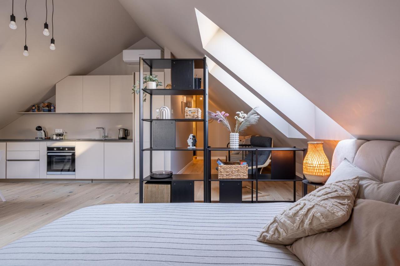 Cozy Spacious Loft! Great For Longer Stays! Riga
